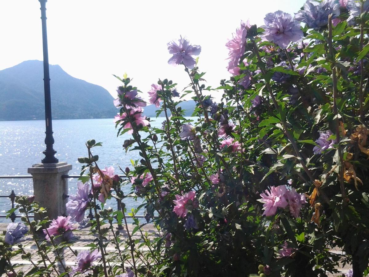 Lontani Da Casa Bed & Breakfast Borgofranco d'Ivrea Eksteriør bilde